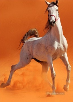 リアルな写真から Painting - 写真から現実的な砂漠の野生の馬